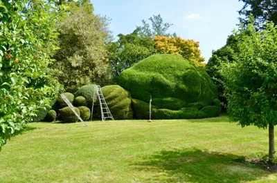 Shaped hedges and topiary around a tidy green lawn.