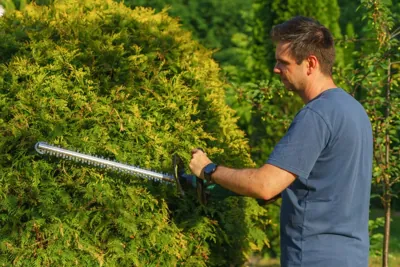 A gardener shaping a green hedge with a powered trimmer.